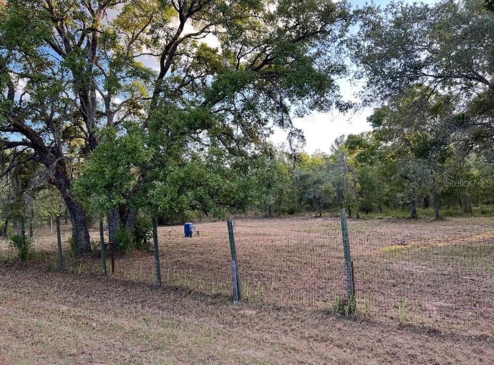 12055 Finch Rd, Weeki Wachee, FL 34614 photo