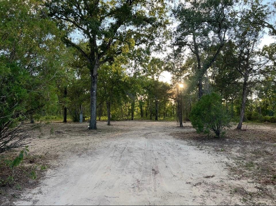 12055 Finch Rd, Weeki Wachee, FL 34614 photo
