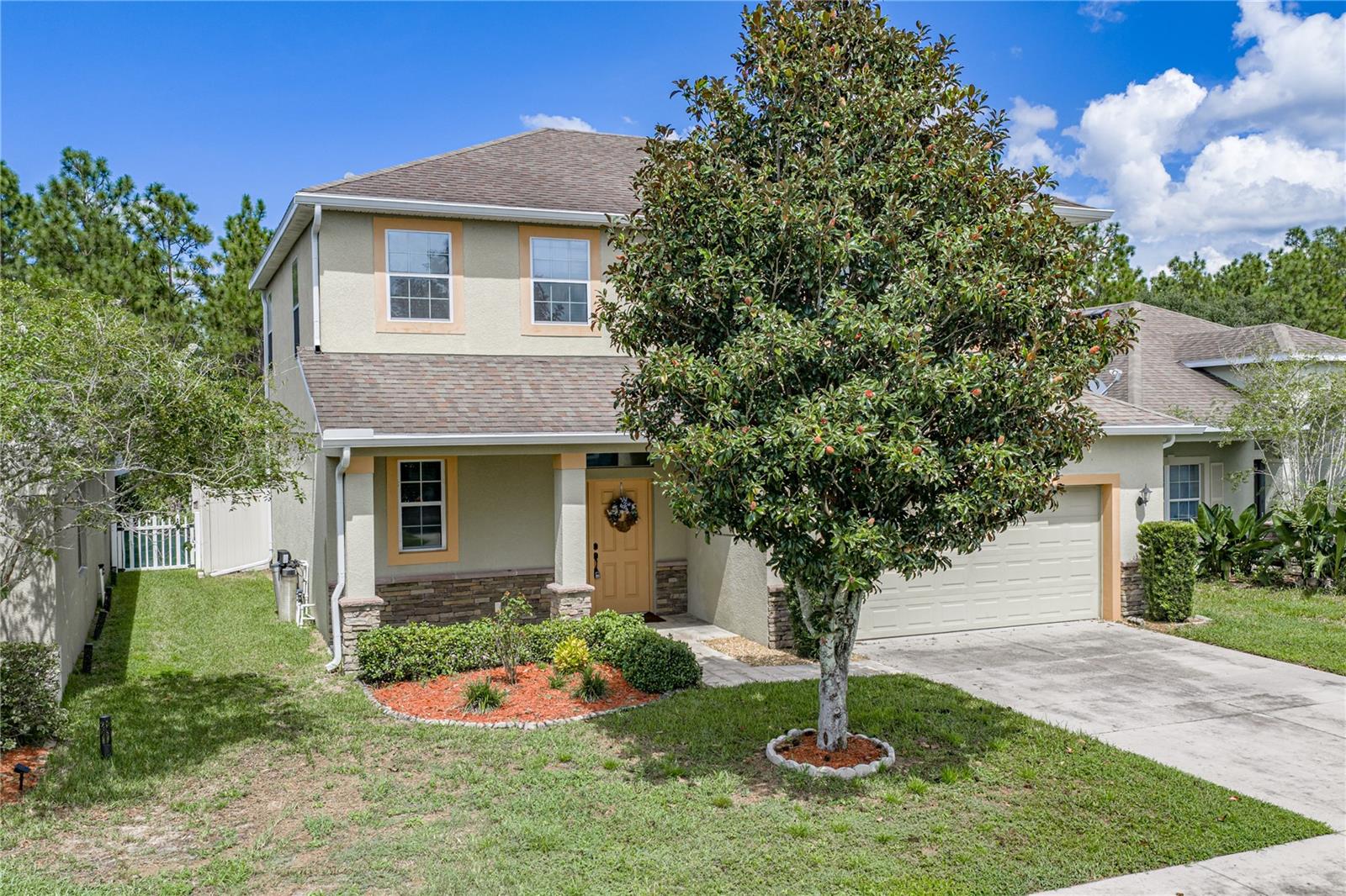30805 Satinleaf Run, Brooksville, FL 34602 photo