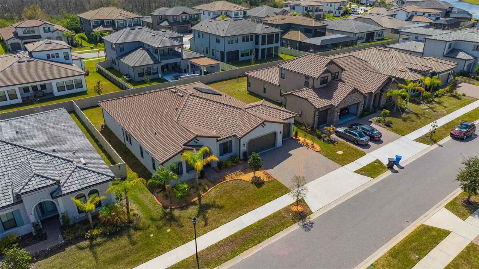 6167 Marsh Trail Dr, Odessa, FL 33556 photo