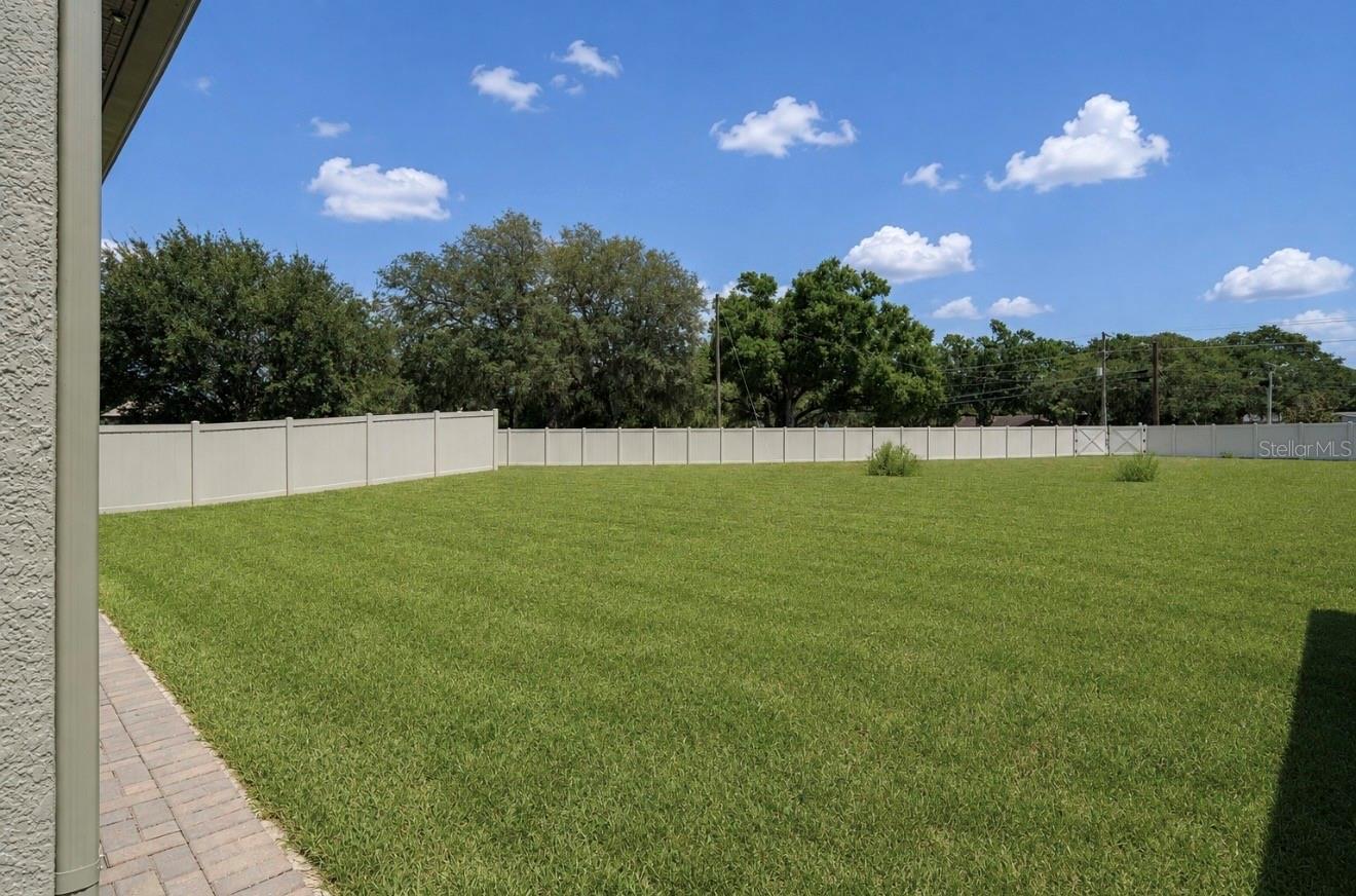 11510 Scarlet Ibis Pl, Riverview, FL 33569 photo