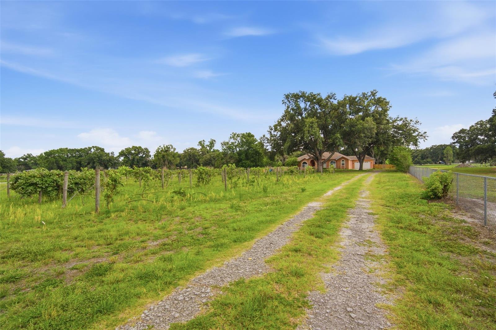6611 W Knights Griffin Rd, Plant City, FL 33565 photo