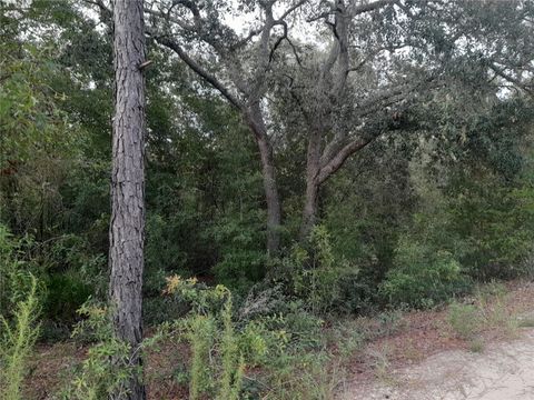  in BRONSON FL tbd NE 87TH PLACE.jpg