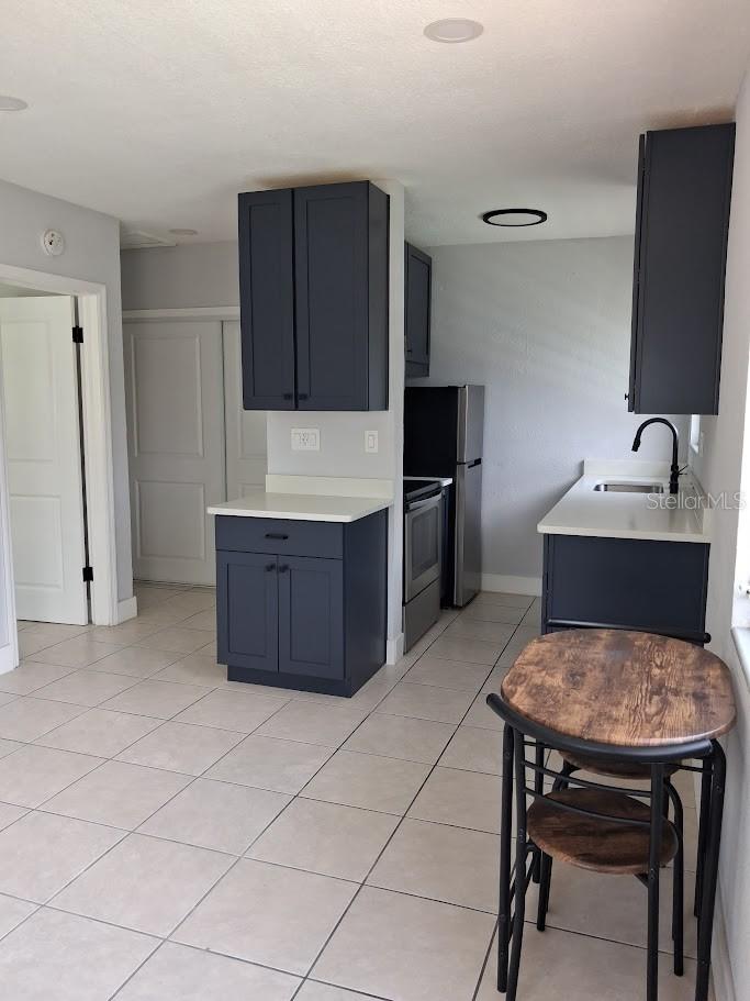 217 Banana St, Tarpon Springs, FL 34689 photo