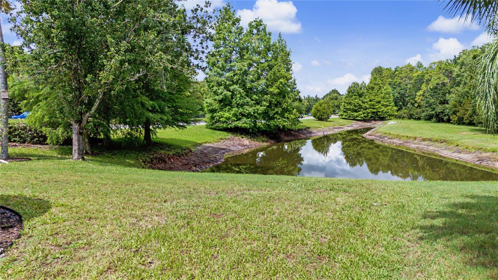 8711 Preston Woods Ct, Land O Lakes, FL 34638 photo