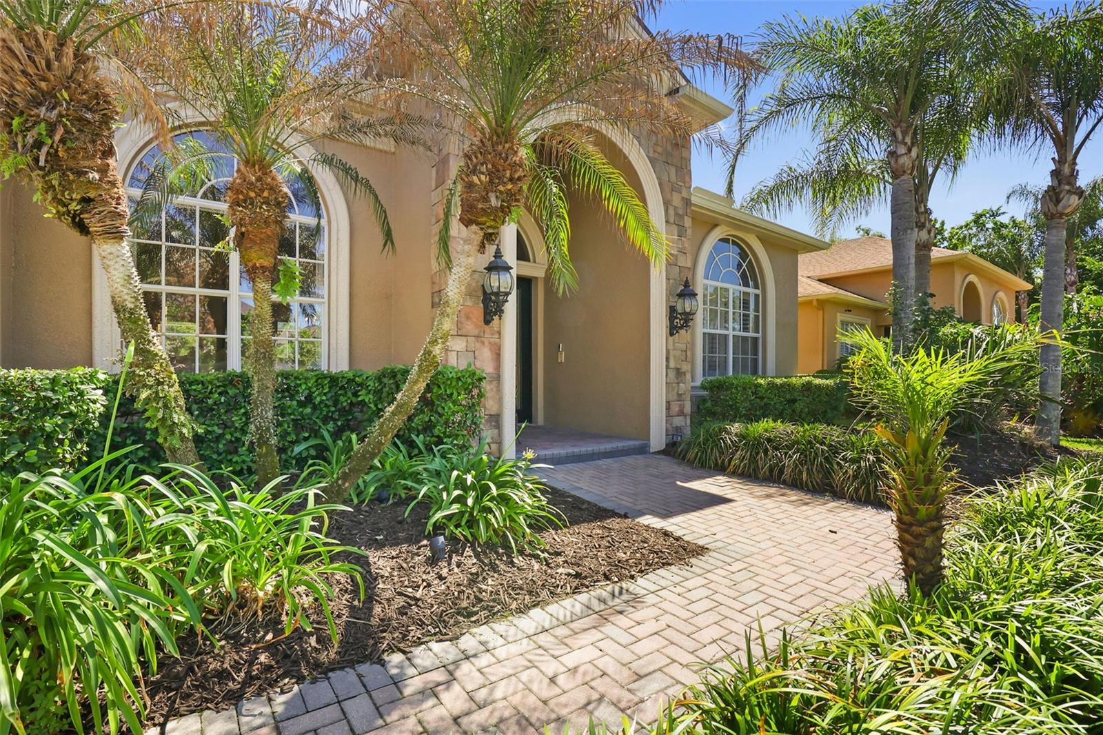 27608 Pine Point Dr, Wesley Chapel, FL 33544 photo