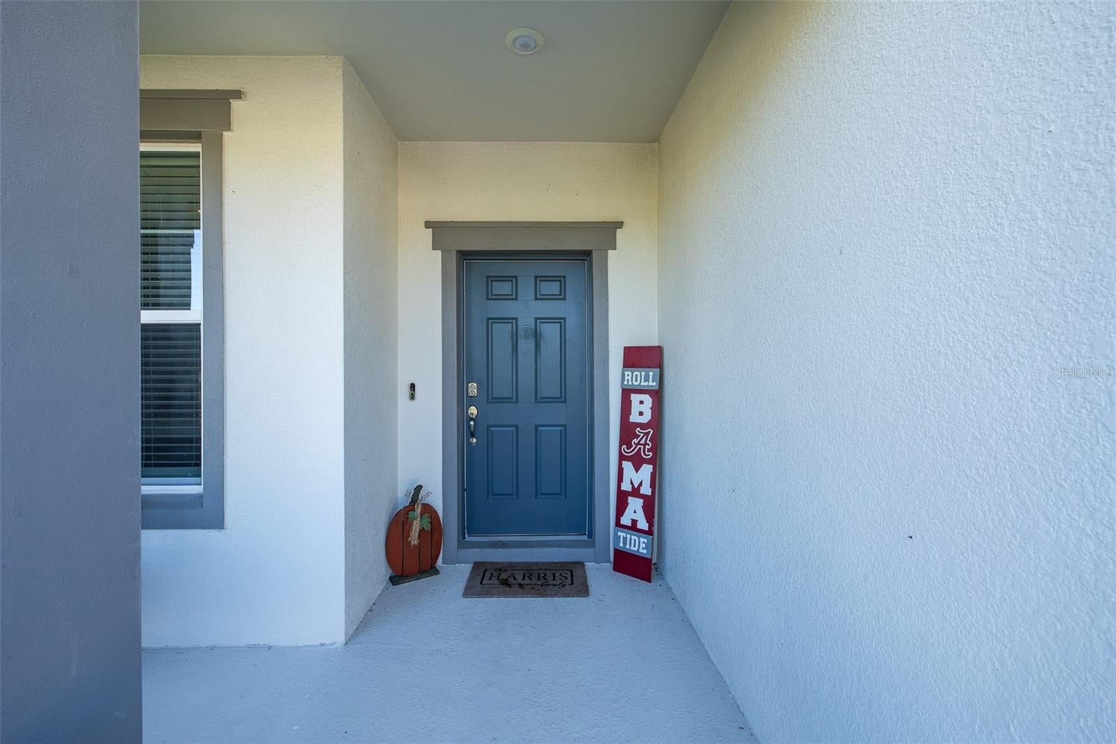 9224 Rally Spring Loop, Wesley Chapel, FL 33545 photo