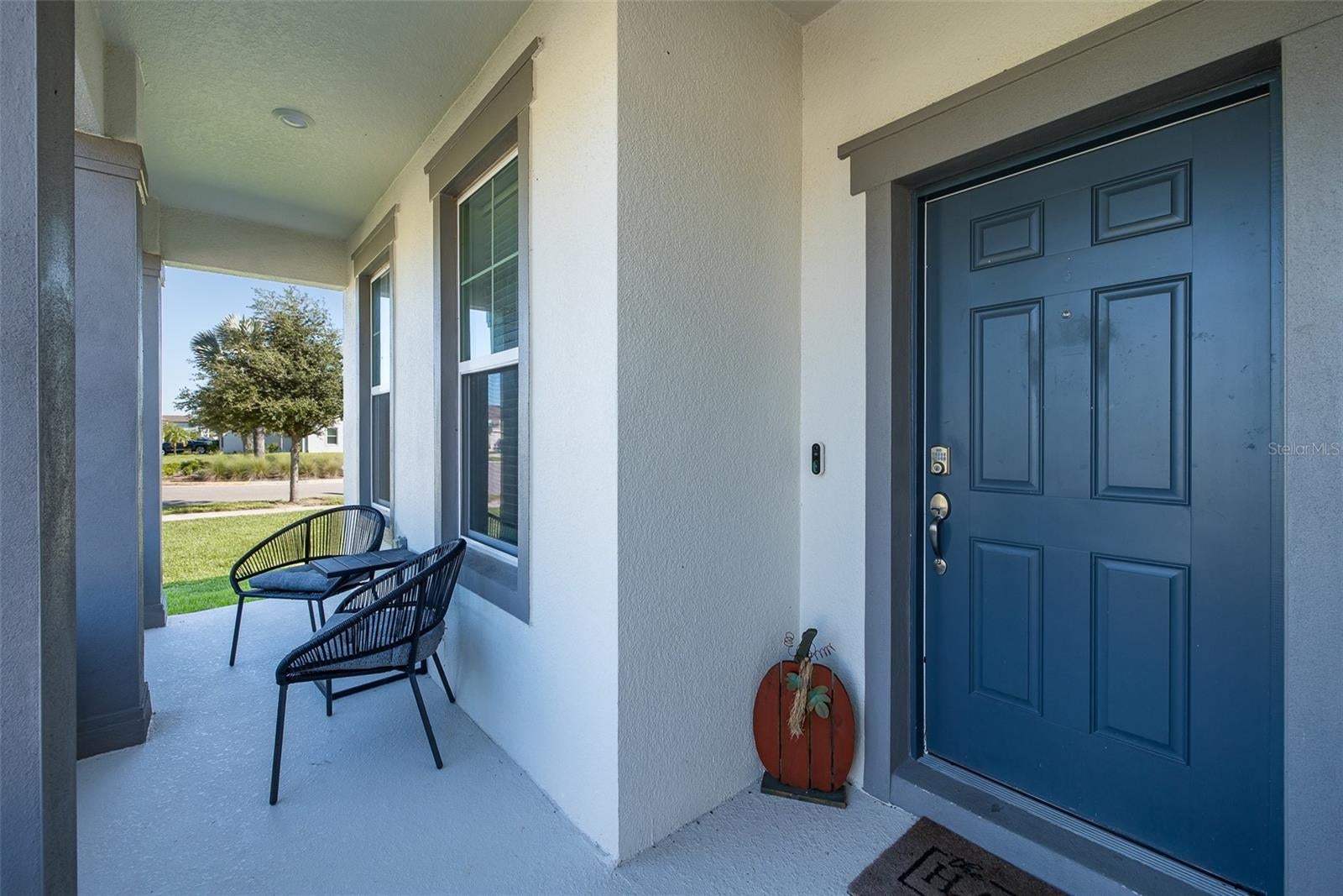 9224 Rally Spring Loop, Wesley Chapel, FL 33545 photo
