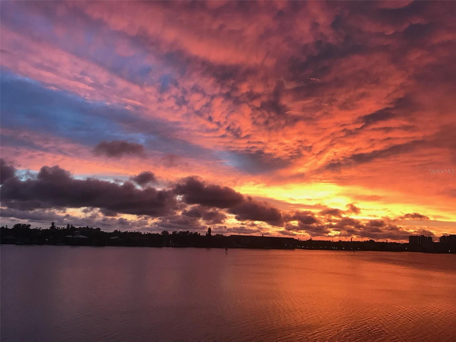 7932 Sailboat Key Blvd #101, South Pasadena, FL 33707 photo