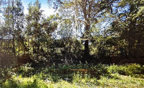  in BRANFORD FL OFF NW CR-138.jpg