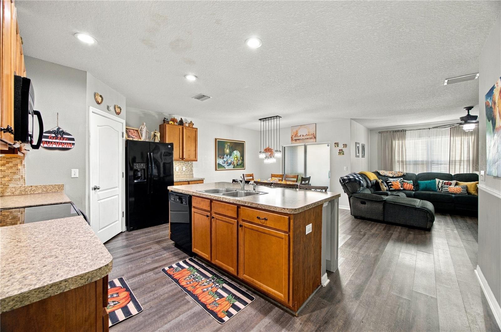 3838 Crystal Dew St, Plant City, FL 33567 photo