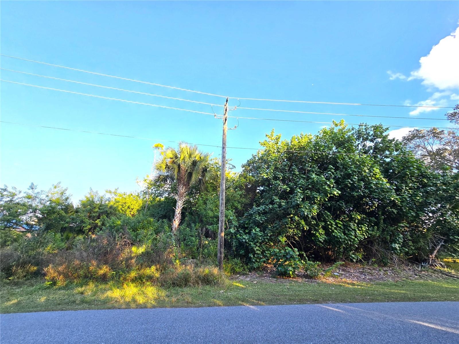 1667 Red Bud Cir, Palm Bay, FL 32907 photo