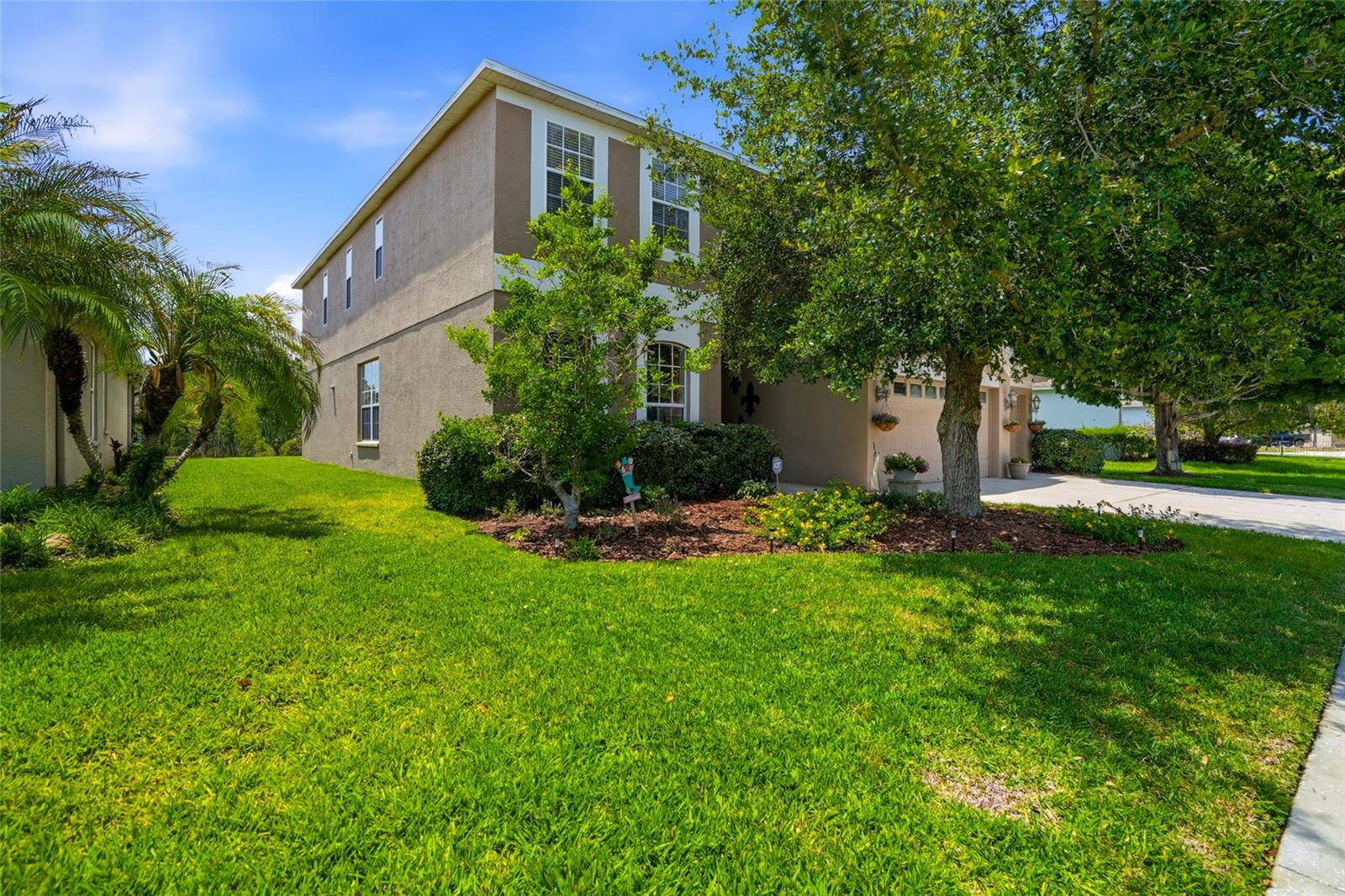 9643 Asbel Estates St, Land O Lakes, FL 34638 photo