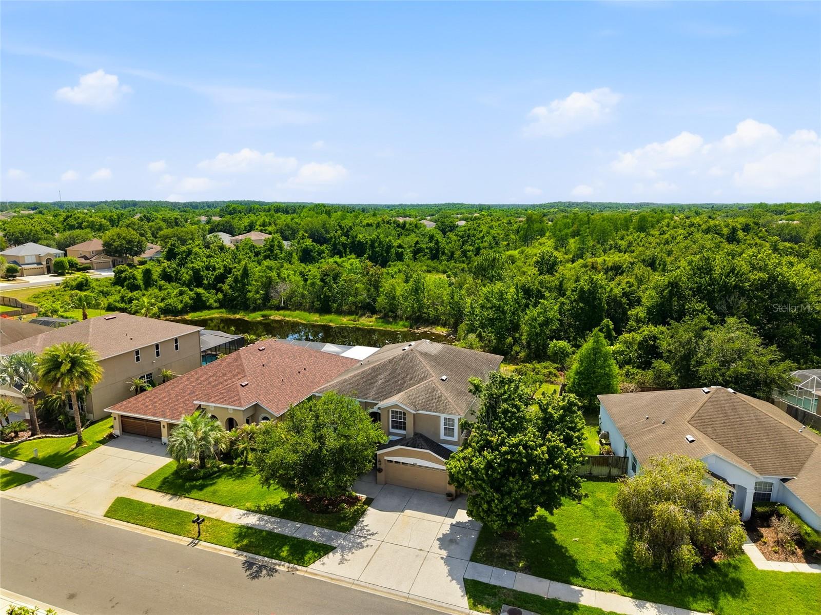9643 Asbel Estates St, Land O Lakes, FL 34638 photo