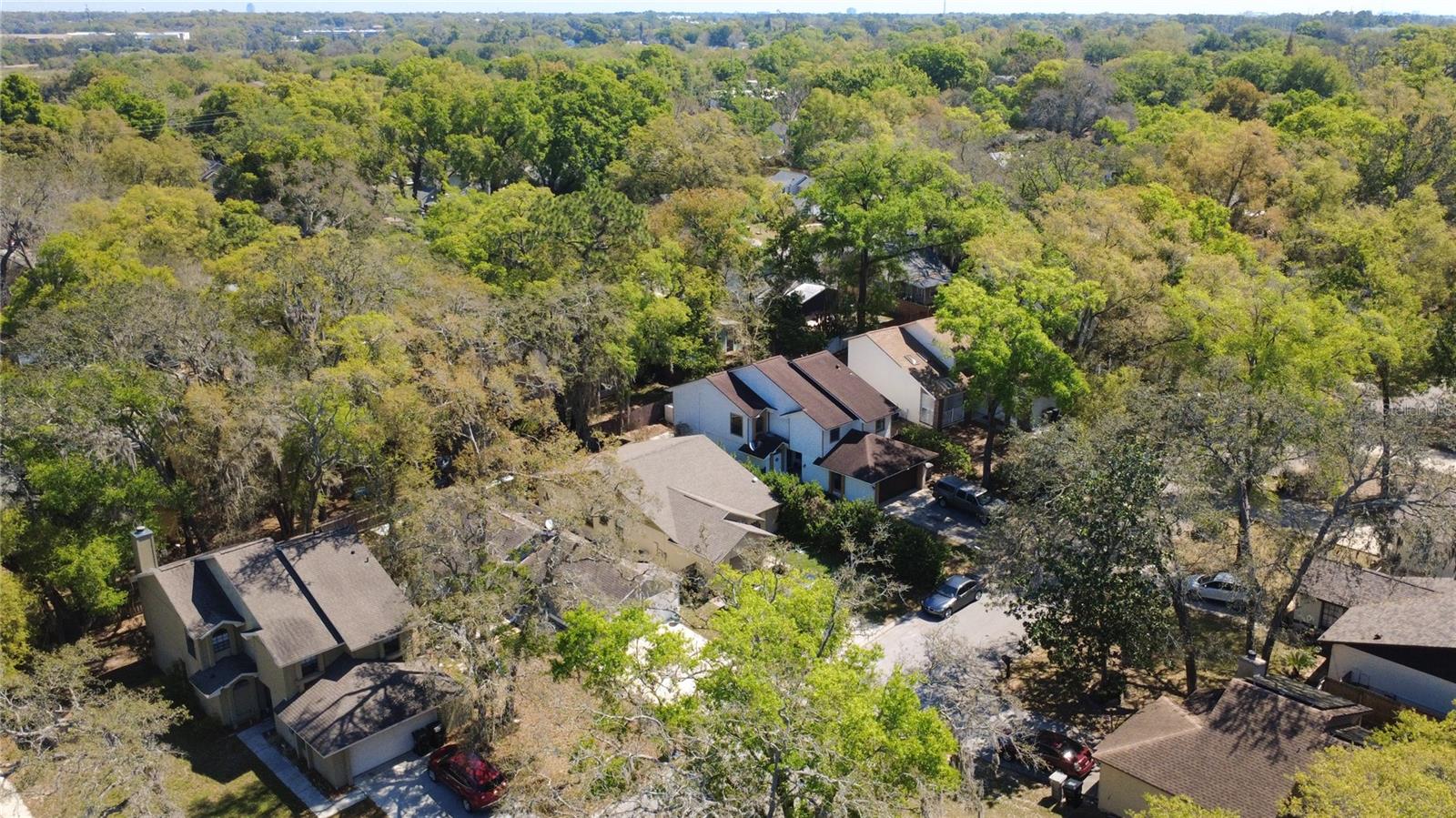 1777 Summit Chase Ave, Apopka, FL 32703 photo