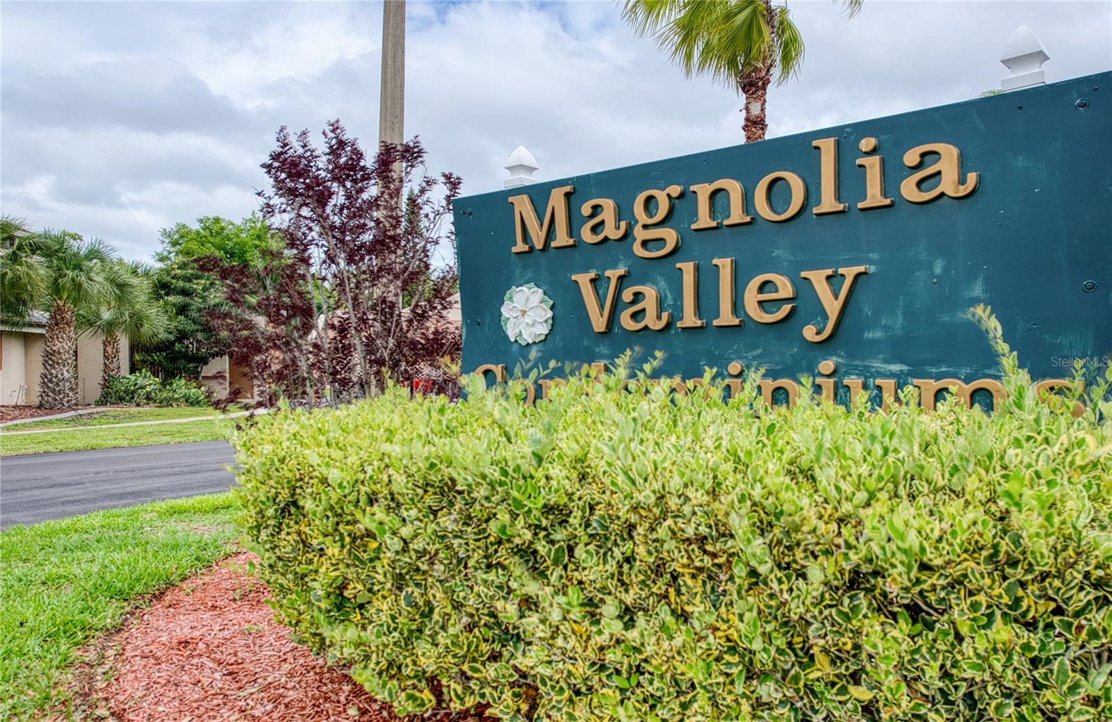 7040 Cognac Dr #3, New Port Richey, FL 34653 photo
