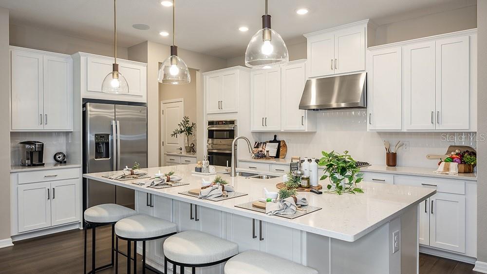 28579 Strolling Sprout Cor, San Antonio, FL 33576 photo