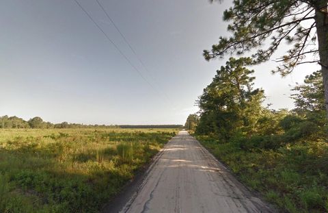  in LIVE OAK FL 00 225TH ROAD.jpg