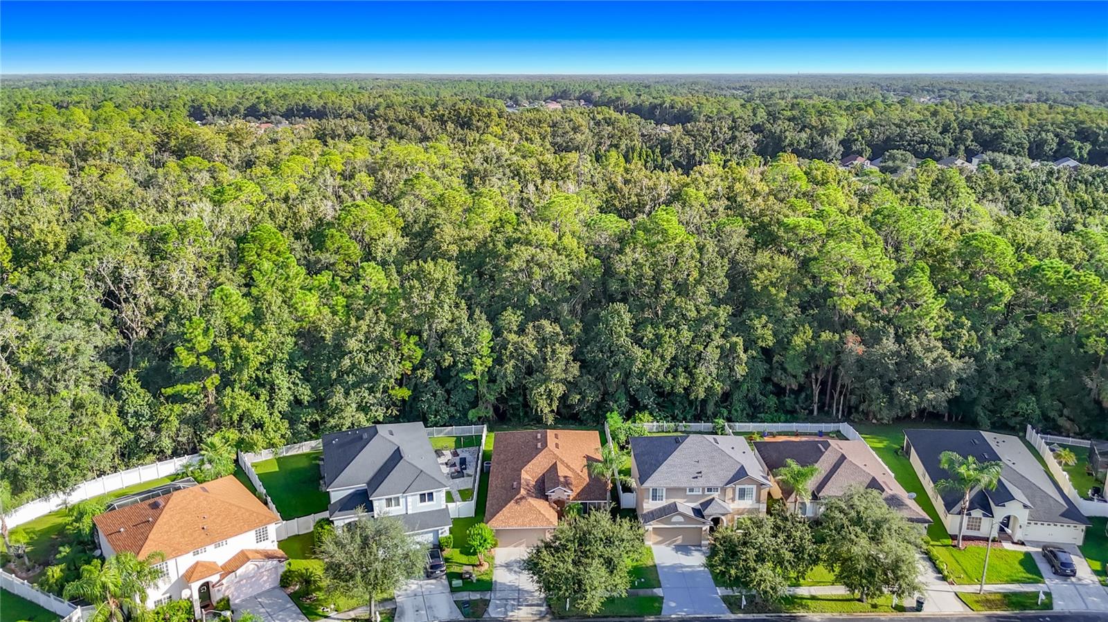4751 Barchetta, Land O Lakes, FL 34639 photo