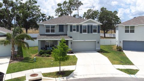 Single Family Residence in DADE CITY FL 36398 SPANISH ROSE DRIVE 46.jpg