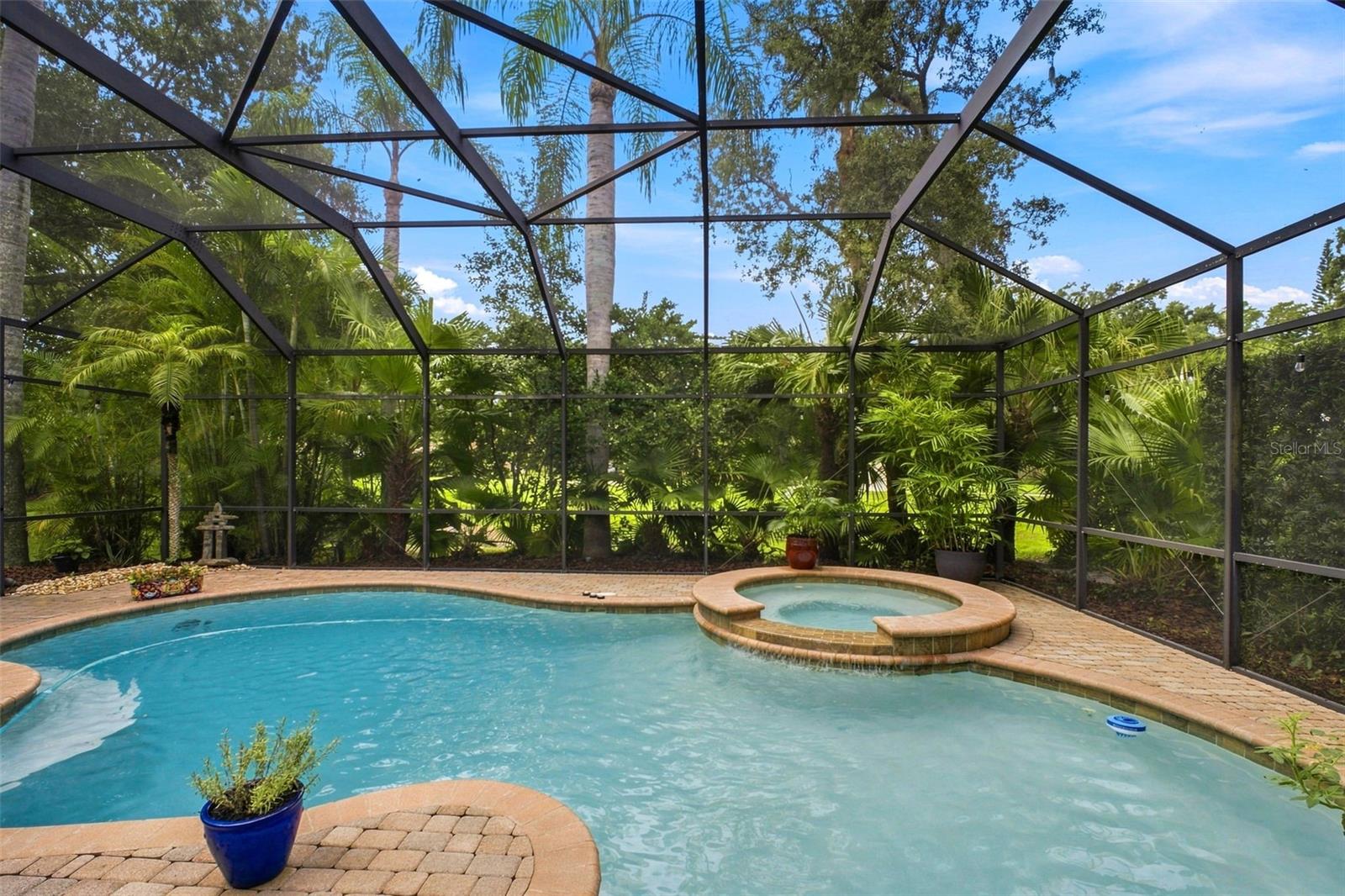 2862 Deer Run, Tarpon Springs, FL 34688 photo