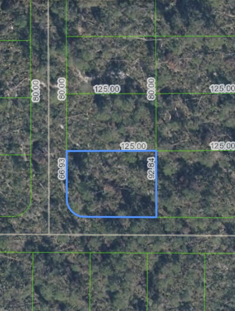 10662 Deep Hazard Dr, Sebring, FL 33875
