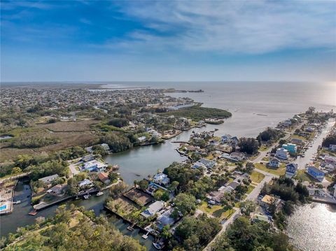  in HUDSON FL BENDL 8.jpg