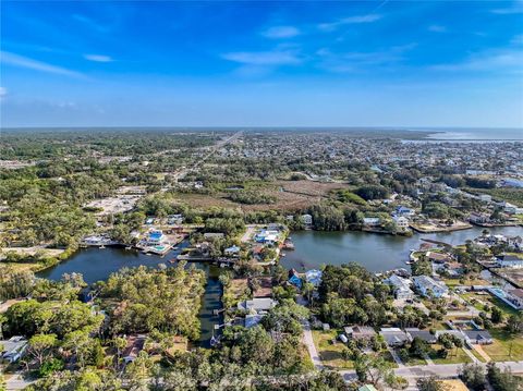  in HUDSON FL BENDL 7.jpg