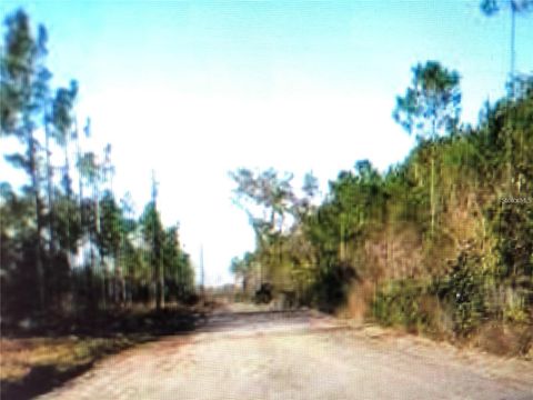  in PERRY FL 35 Acres MADISON MAIN LINE.jpg