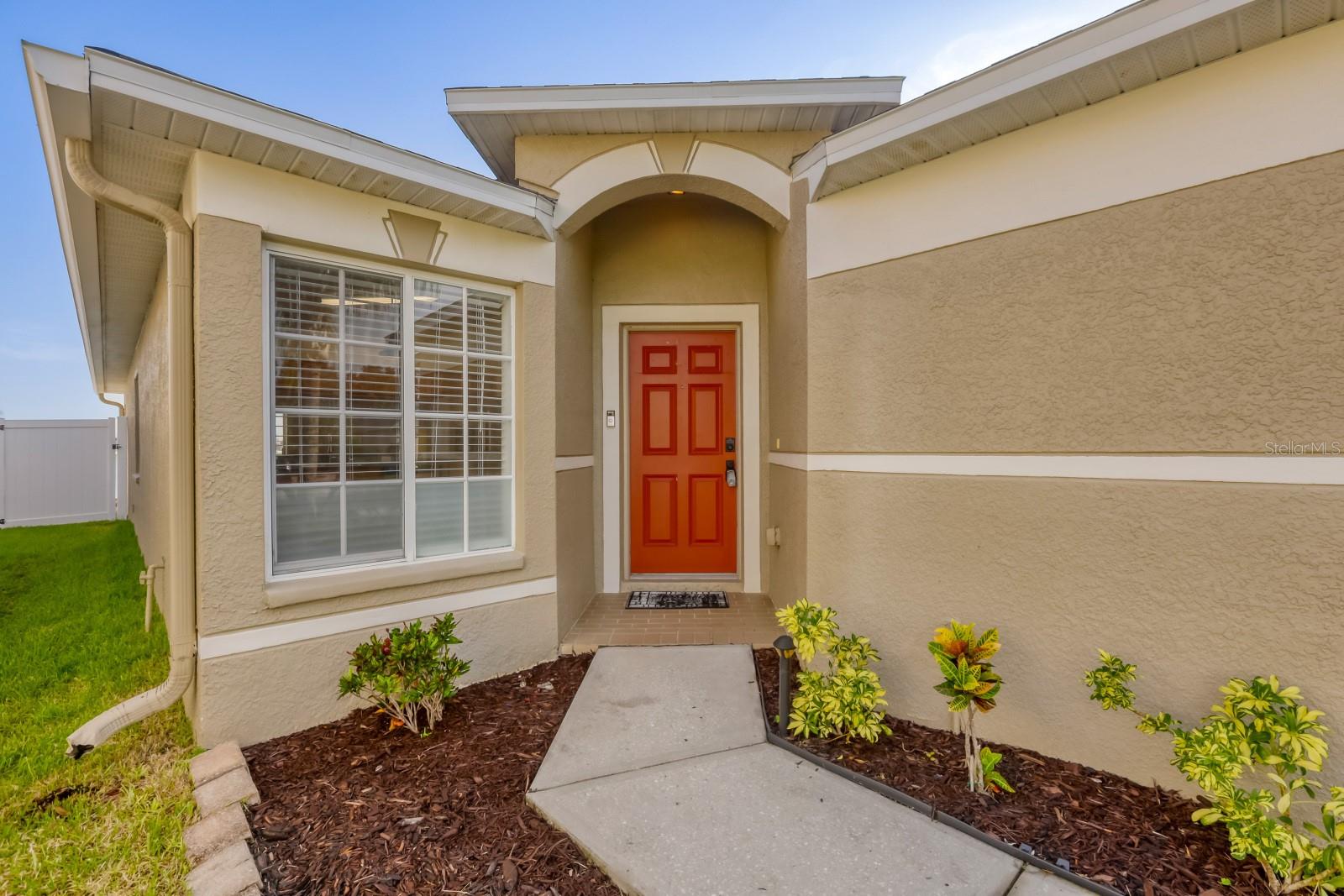 31209 Masena Dr, Wesley Chapel, FL 33545 photo
