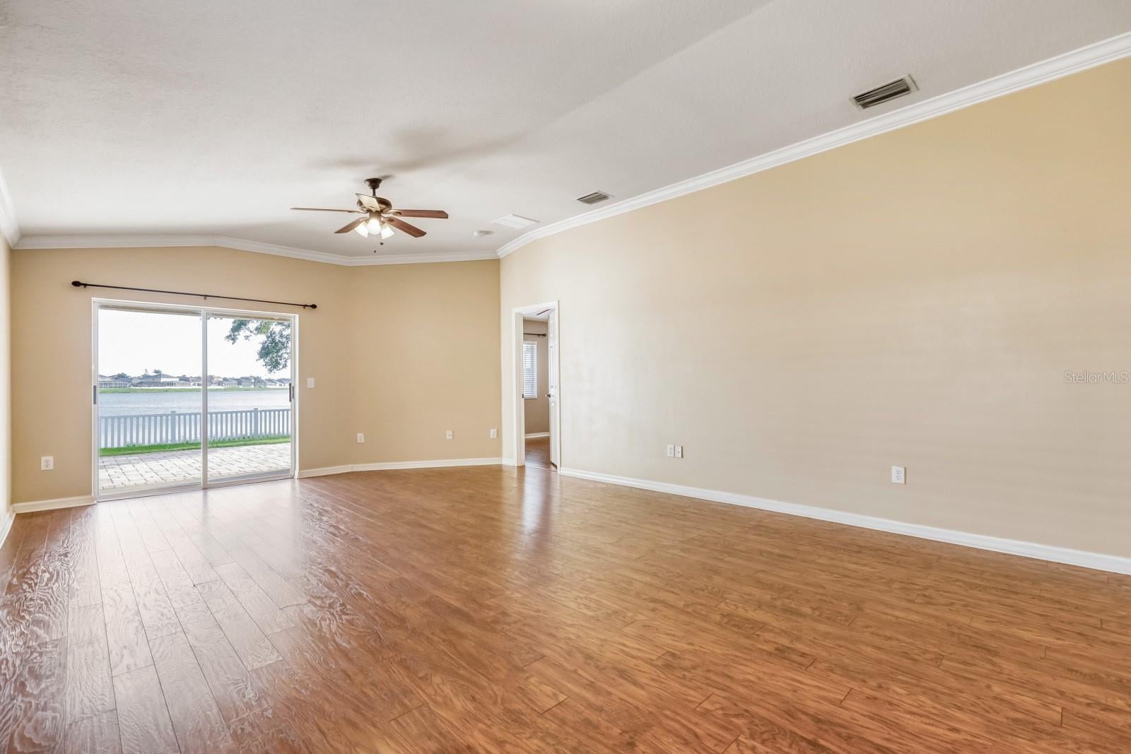 31209 Masena Dr, Wesley Chapel, FL 33545 photo