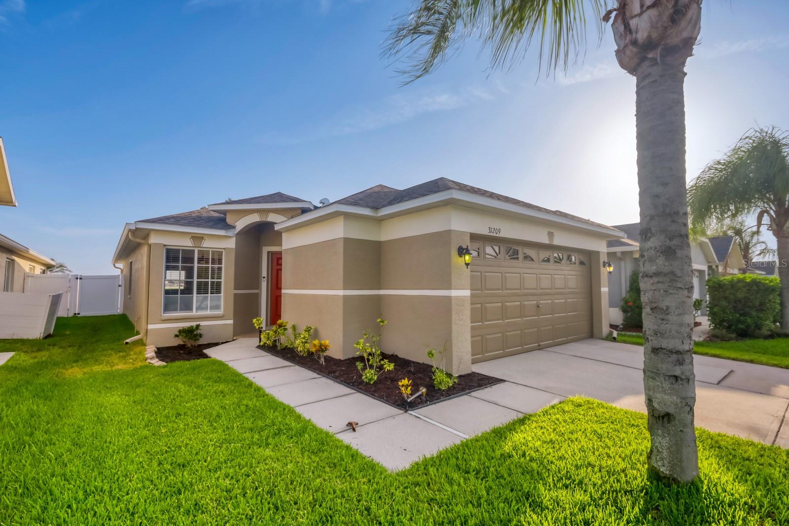 31209 Masena Dr, Wesley Chapel, FL 33545 photo