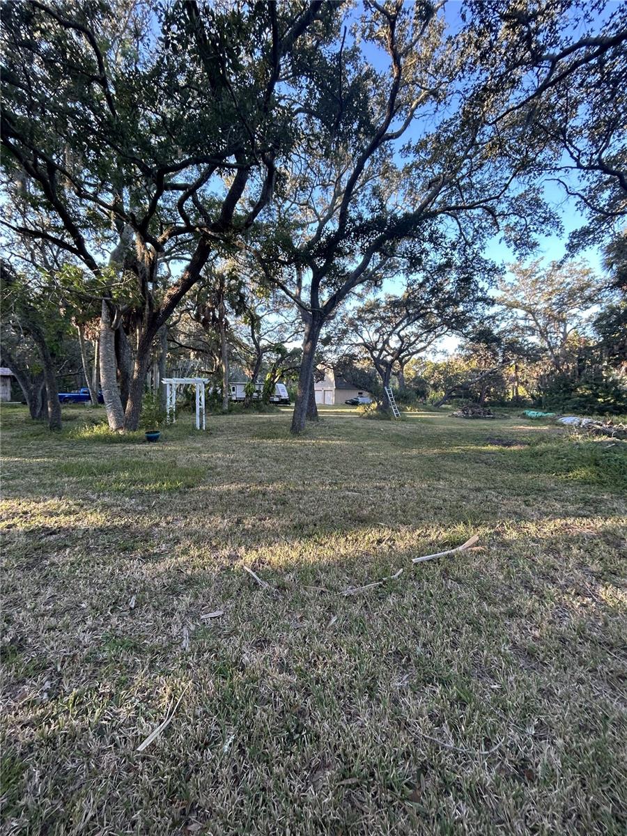 14428 Guava St, Hudson, FL 34667