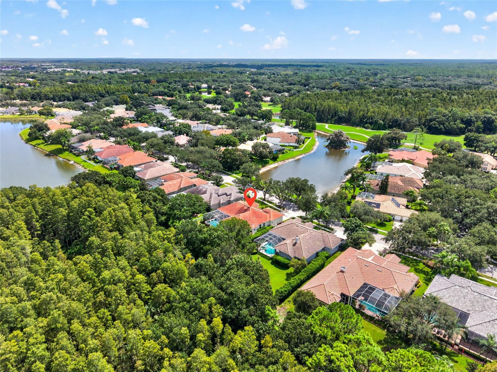 9136 Highland Ridge Way, Tampa, FL 33647 photo