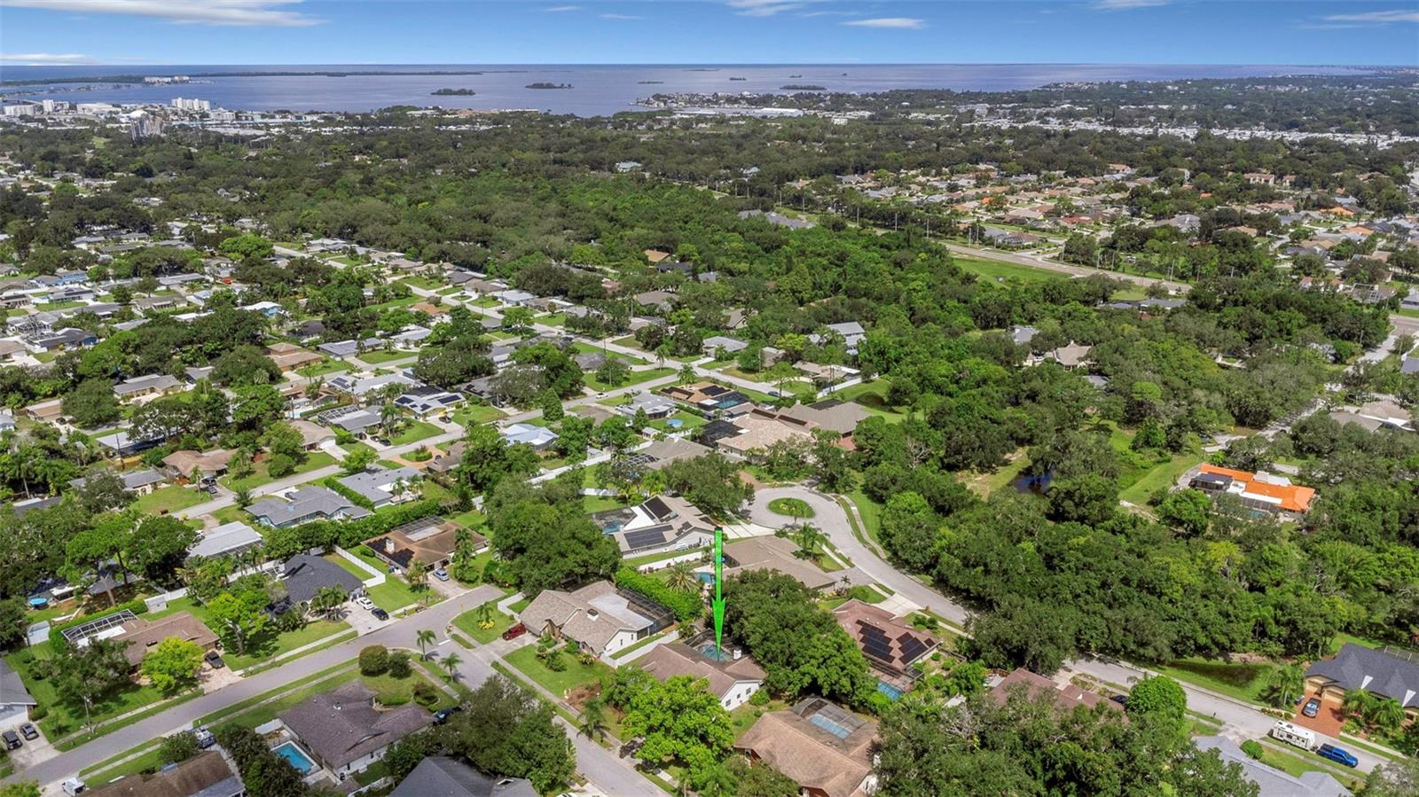 1620 Country Ln, Dunedin, FL 34698 photo