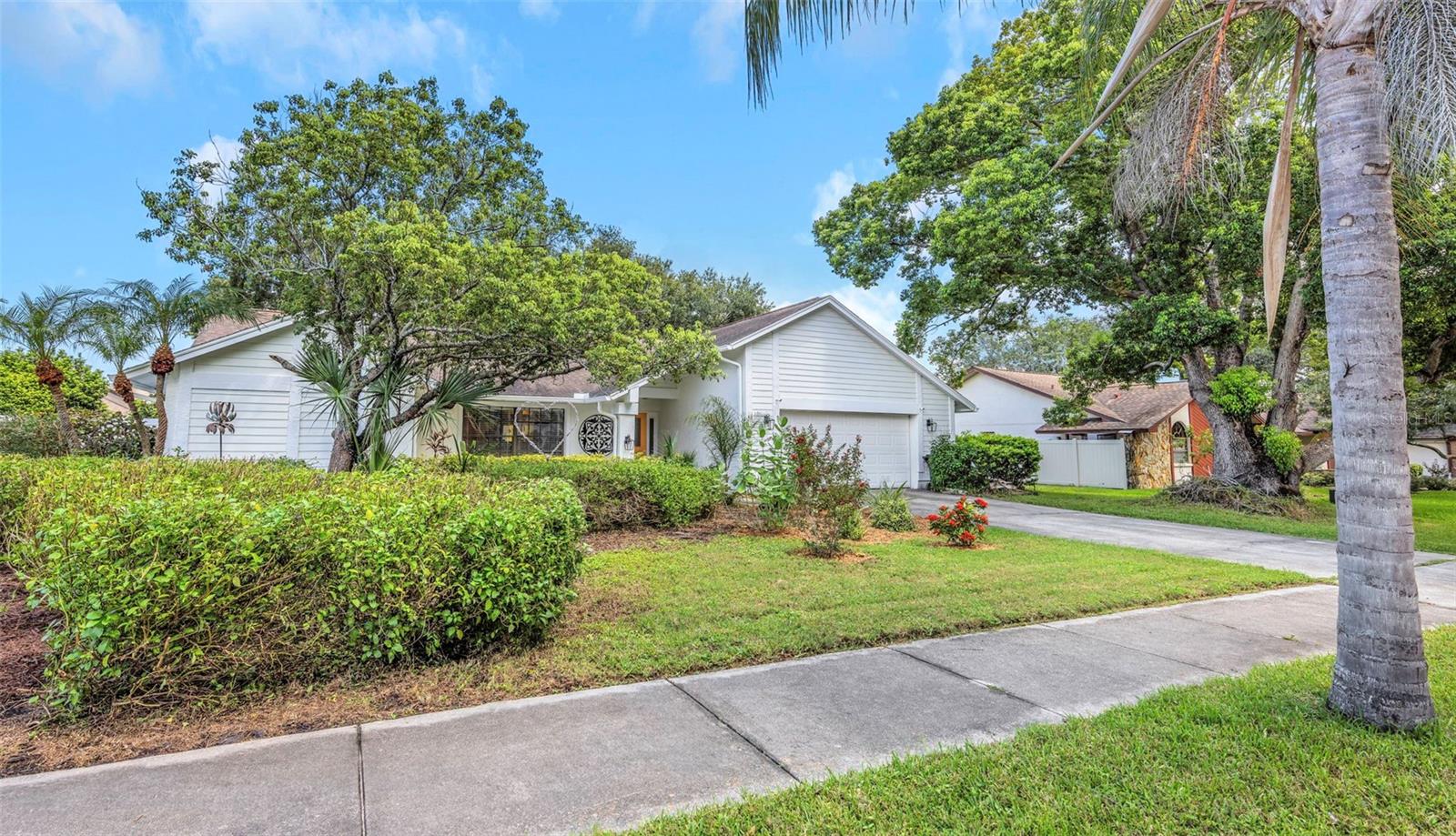1620 Country Ln, Dunedin, FL 34698 photo