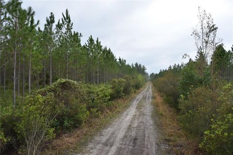 in GAINESVILLE FL OFF HWY 225.jpg