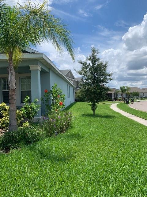14072 Gold Bridge Dr, Orlando, FL 32824 photo