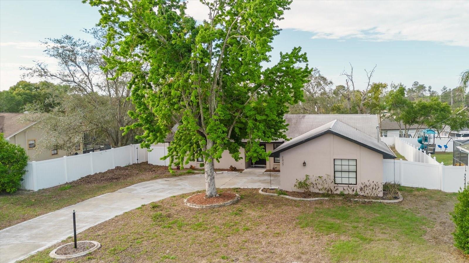 2427 Comerwood Dr, Spring Hill, FL 34609 photo