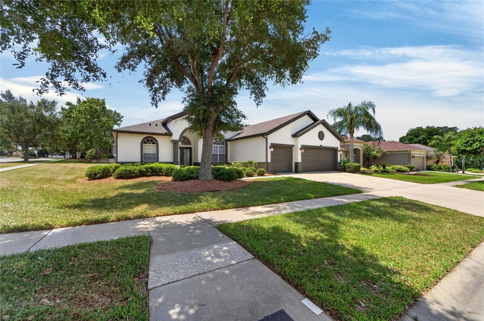 2309 Silver Trumpet Ct, Valrico, FL 33594 photo