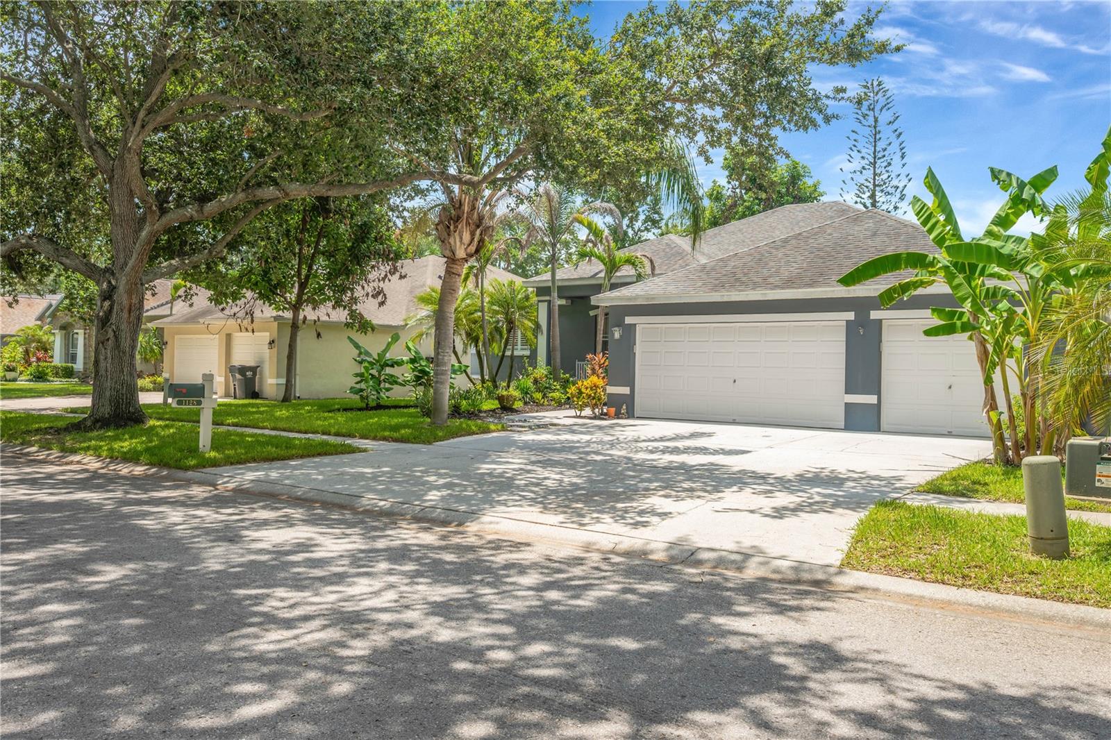 1128 Lumsden Trace Cir, Valrico, FL 33594 photo