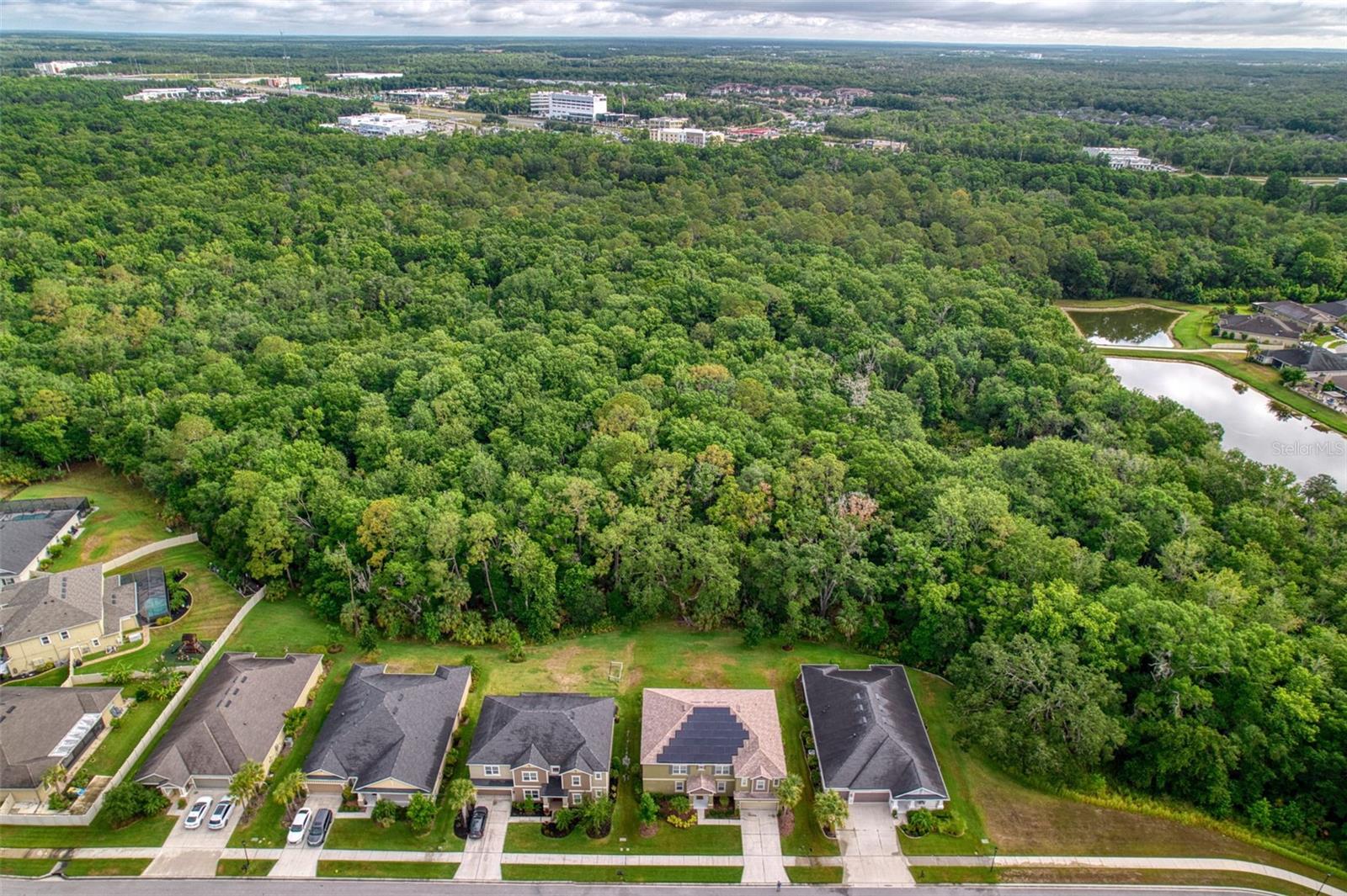 26888 Fiddlewood Loop, Wesley Chapel, FL 33544 photo