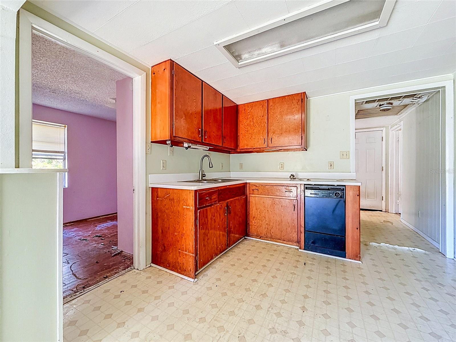 331 Marie St, Palm Harbor, FL 34683 photo