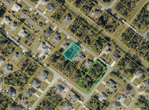  in NORTH PORT FL CHIPLEY AVENUE.jpg