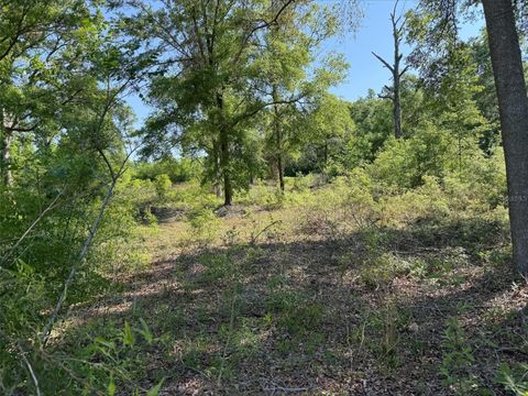  in O'BRIEN FL Lot 19 208TH STREET.jpg
