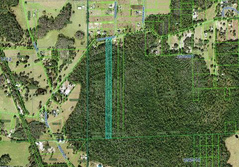  in POLK CITY FL 00 GREEN POND ROAD.jpg