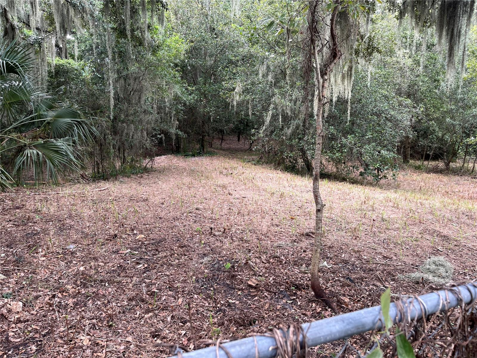 4120 Laurel Crest Dr, Mulberry, FL 33860 photo