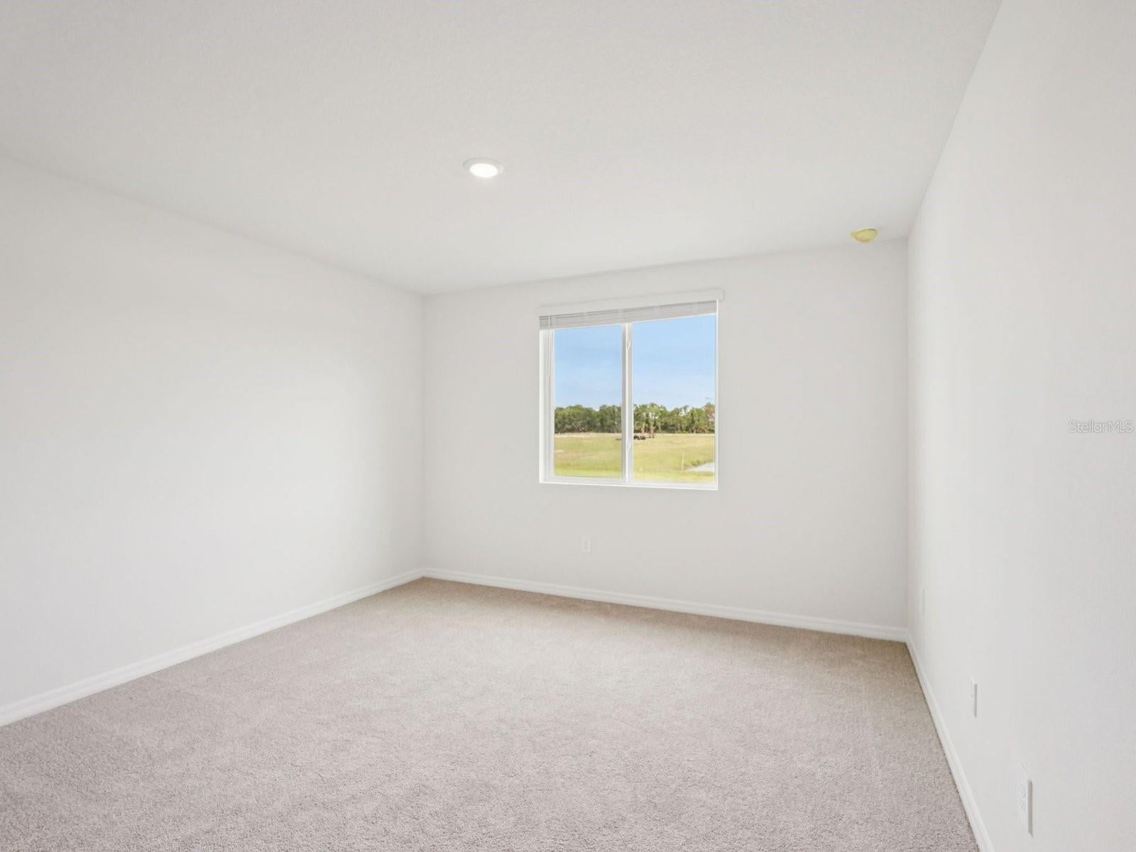 121 Sycamore Fold St, Nokomis, FL 34275 photo