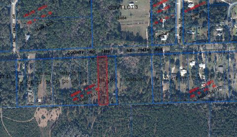  in WALDO FL Lot 16 NE 114TH AVENUE.jpg