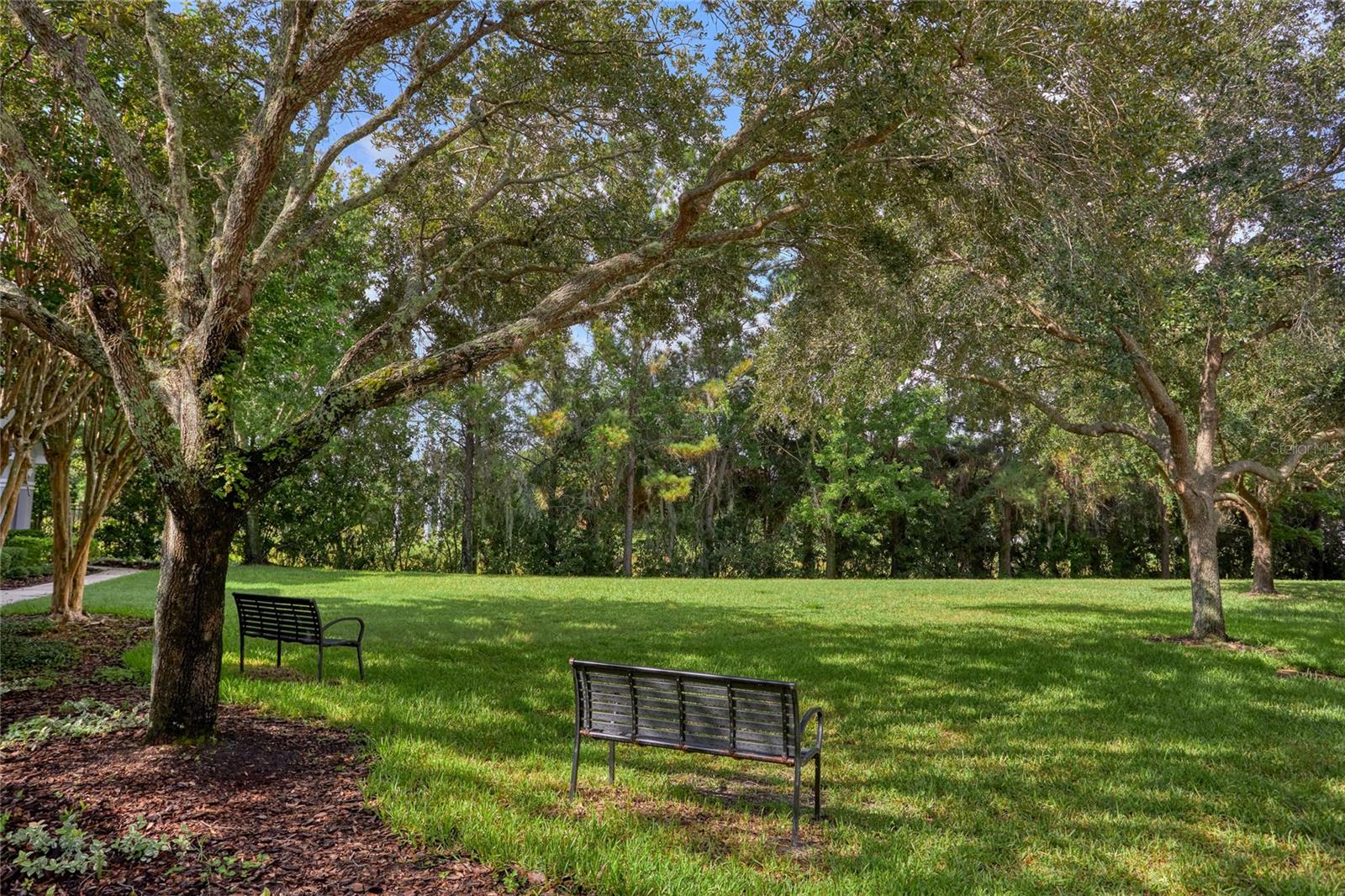 9410 Georgian Park Ln #105, Tampa, FL 33626 photo
